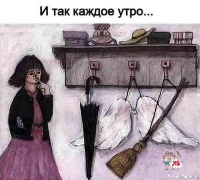 И так каждое утро...