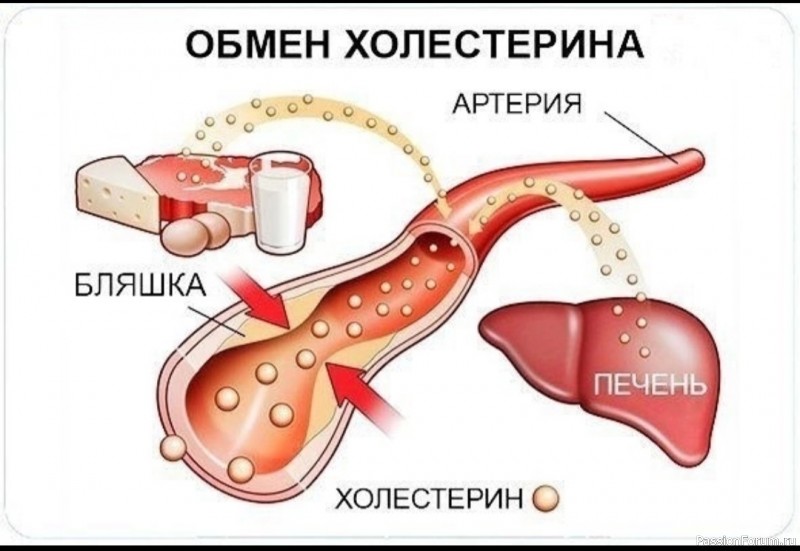 Льняное семя для снижения холестерина