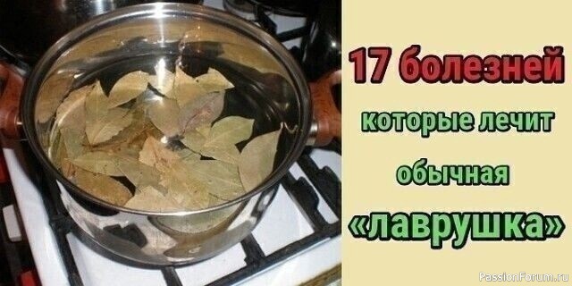 17 болезней, которые лечит лавровый лист