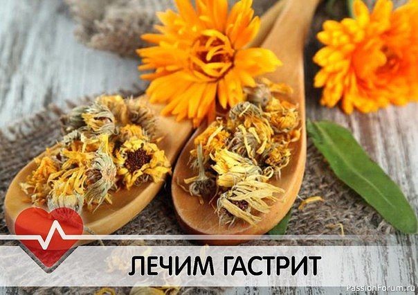 Лечим гастрит натуральными средствами!