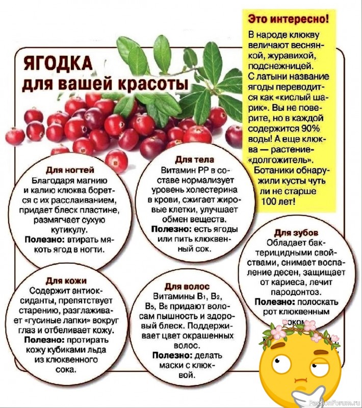 Клюква - ягодка для вашей красоты