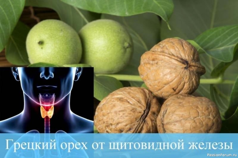 ​Народная медицина в борьбе с болезнями щитовидки 👉
