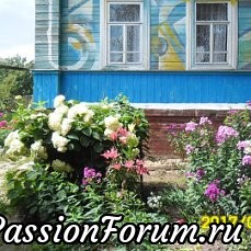 Весёлый дворик