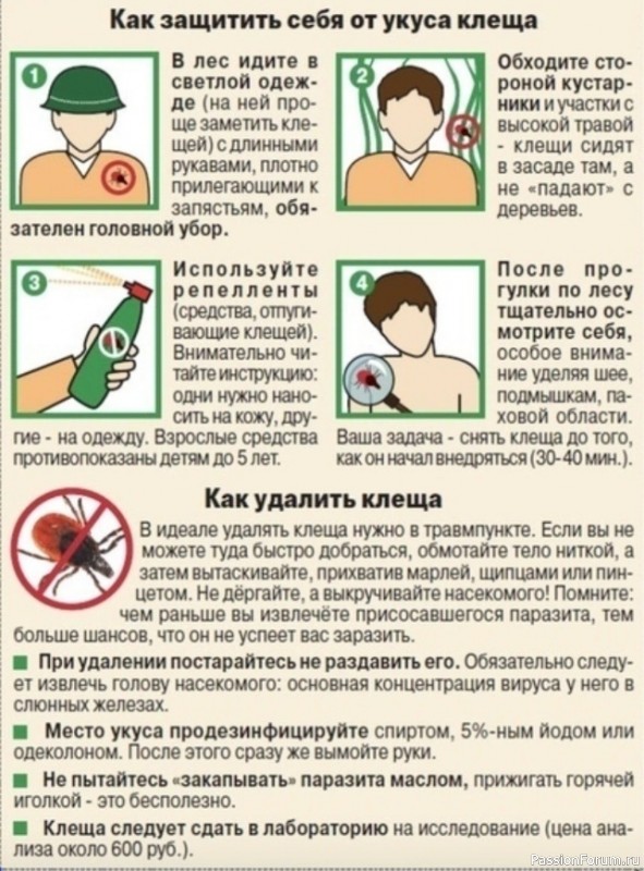 Как защитить себя от укуса клеща