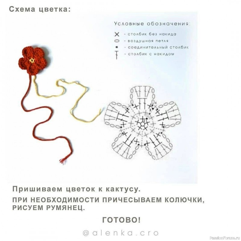 Цветущий кактус крючком. Описание