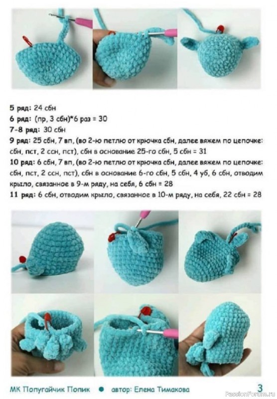 Попугайчик крючком. Описание