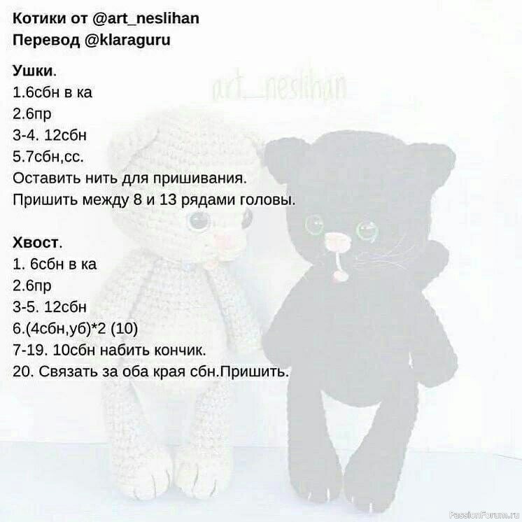 Котики