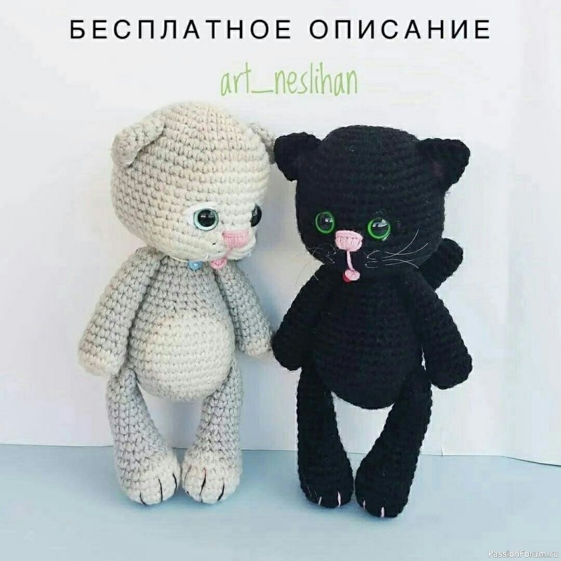 Котики
