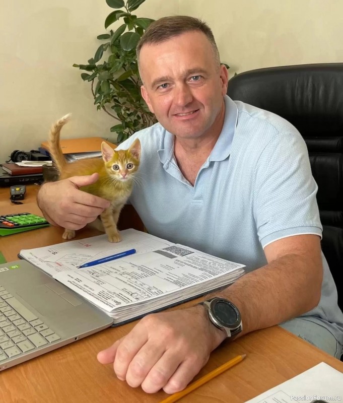 Котенок зеленого цвета