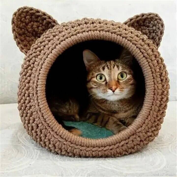 Забавный домик для кошки. Описание