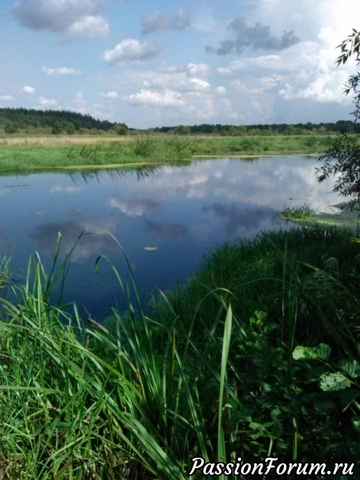 Беларусь.