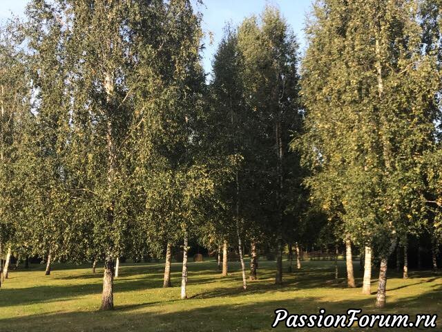 Беларусь.