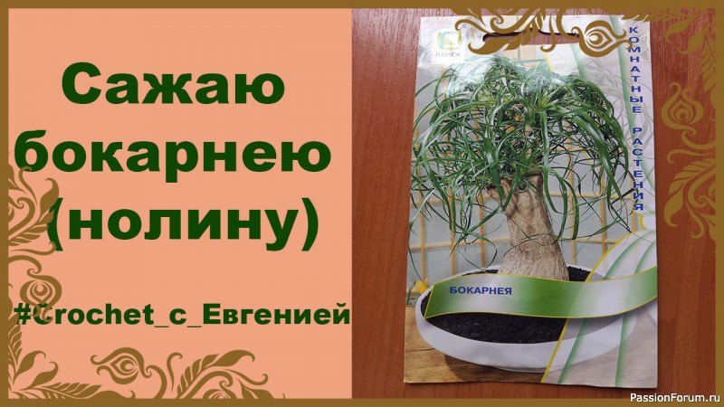 Сажаю бокарнею (нолину)