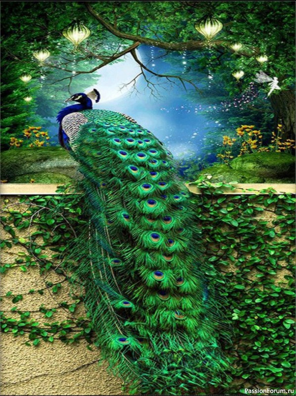 Птицы и бабочки