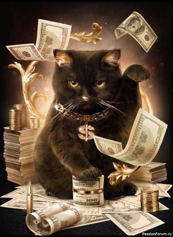 Коты