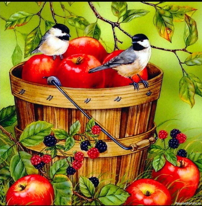 Птицы и бабочки