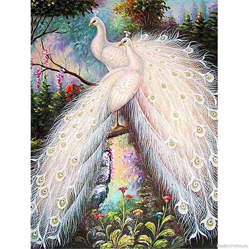 Птицы и бабочки