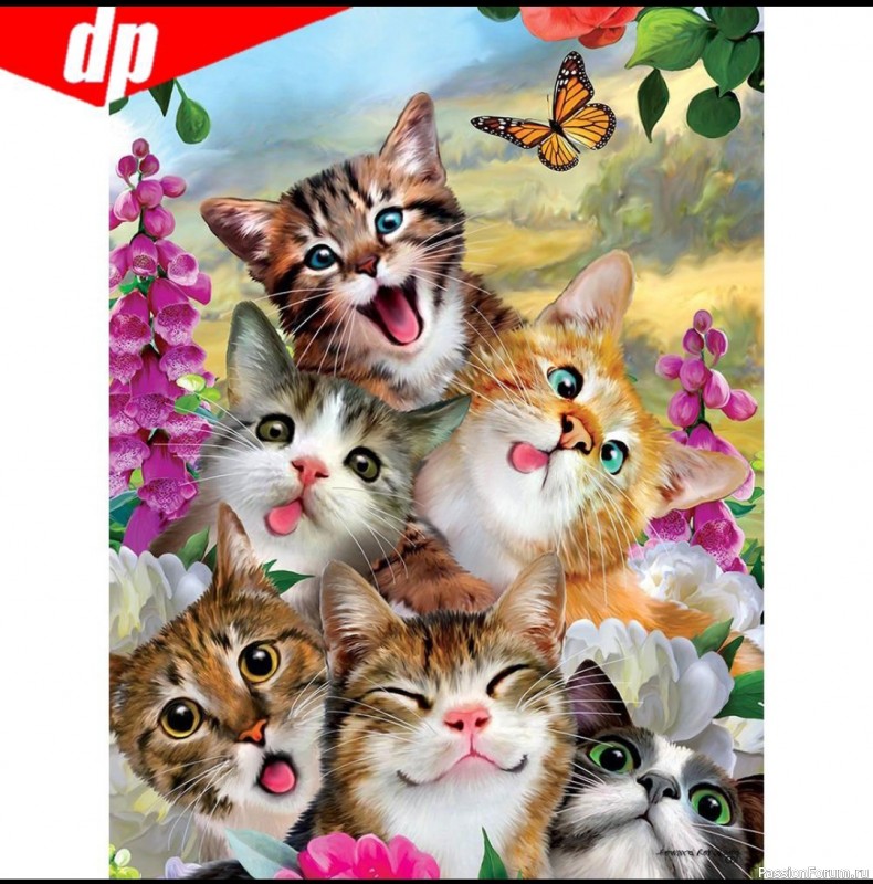 Коты