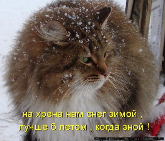 Тренируюсь на кошках- часть вторая
