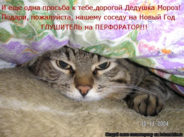 Тренируюсь на кошках- часть вторая