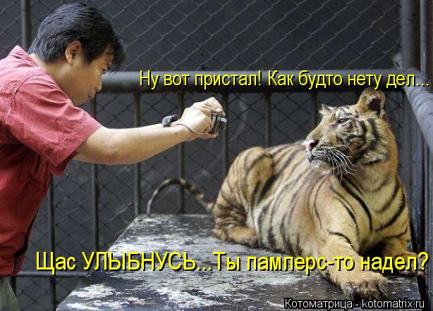 Тренируюсь на кошках- часть вторая