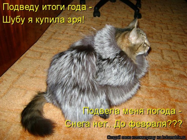 Тренируюсь на кошках- часть вторая