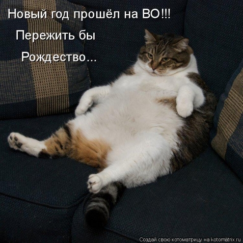 Тренируюсь на кошках- часть вторая