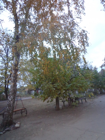 Осень запоздалая.