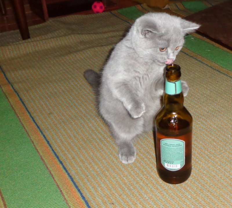И сново Буся!