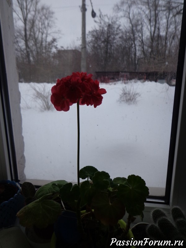 Для моего красавчика-любимчика.