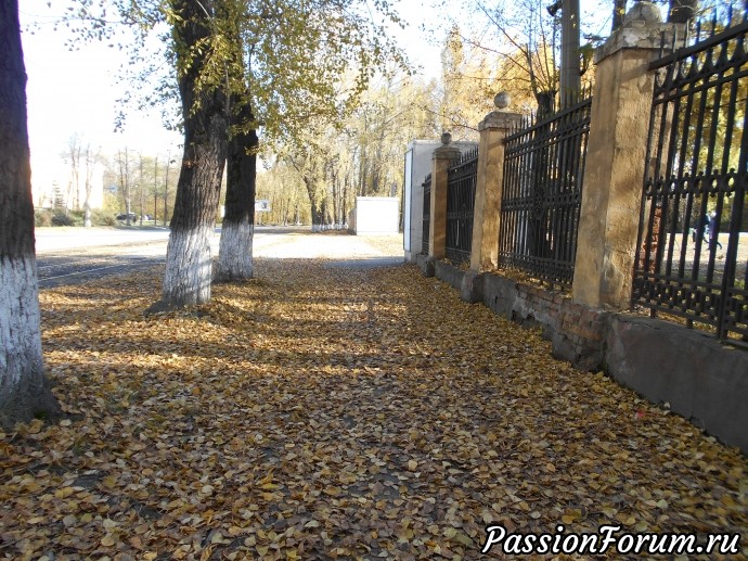 Золотая осень в городском парке ( Нижний Тагил)