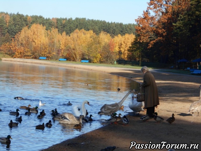 Снова Минск