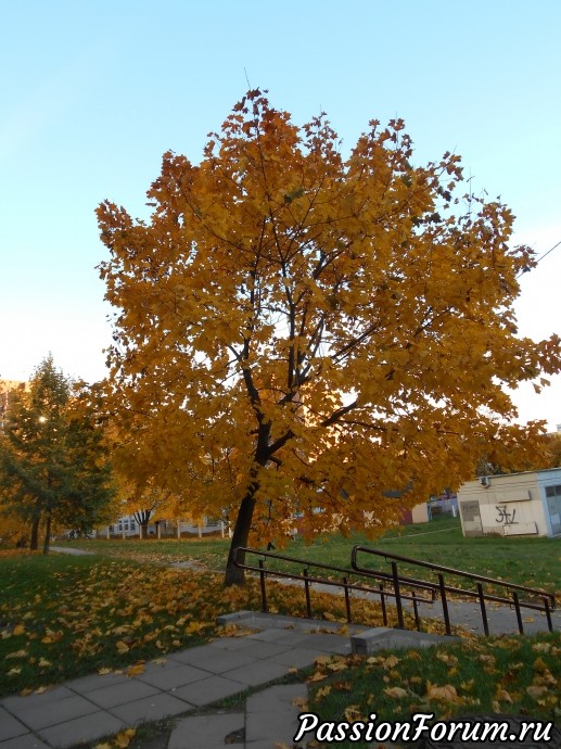 Снова Минск