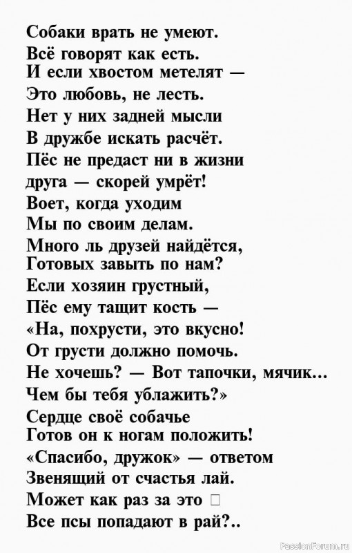 Мысли собачника.