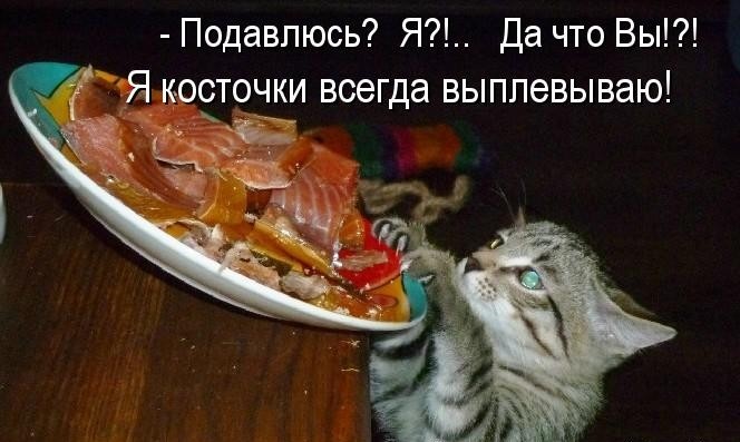 Не бойтесь за меня.
