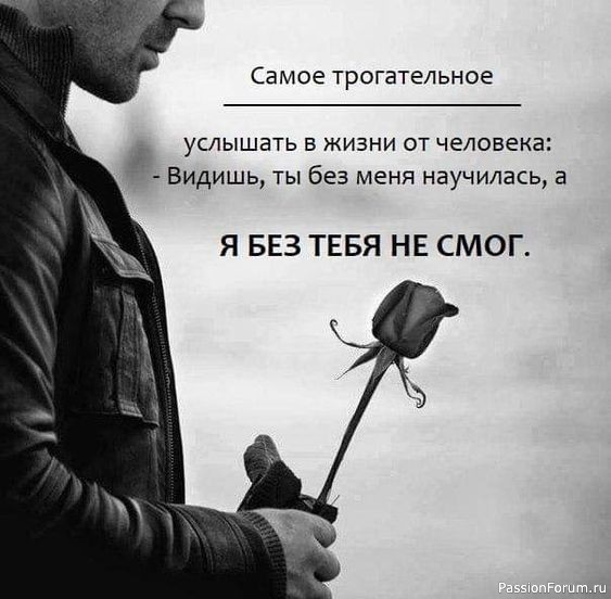 Фраза дня