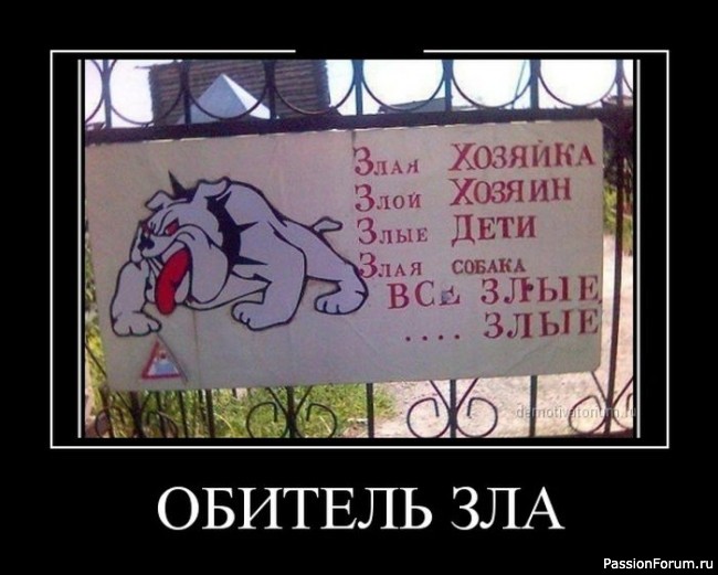 И снова о Котах, и о ХОЗЯЙКАХ....