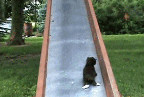1274144443_58942831_d8509d1c49b5 (292x198, 4427 Kb)