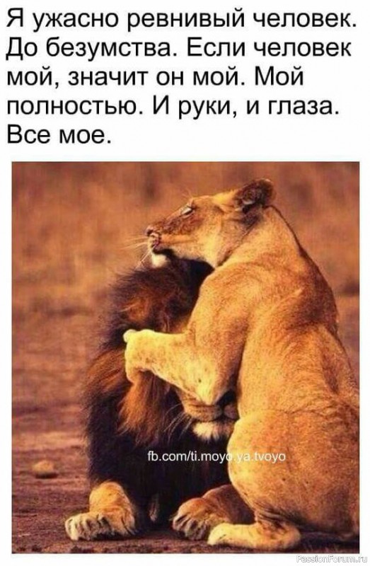 Фраза дня