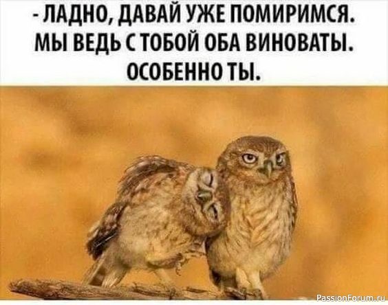 МЫСЛИ,,, РАЗНЫЕ..