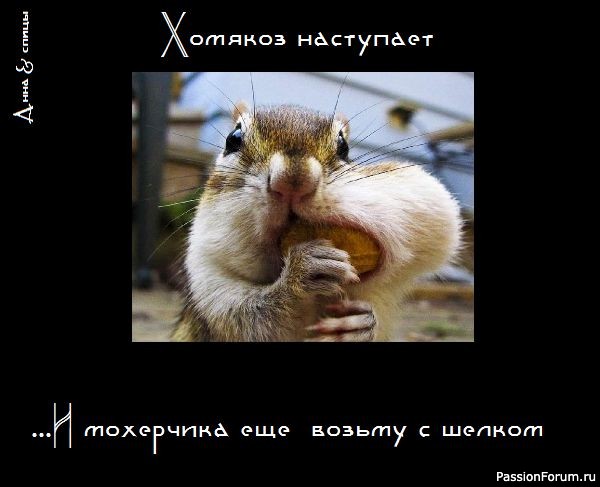 Законы для вязальщиц