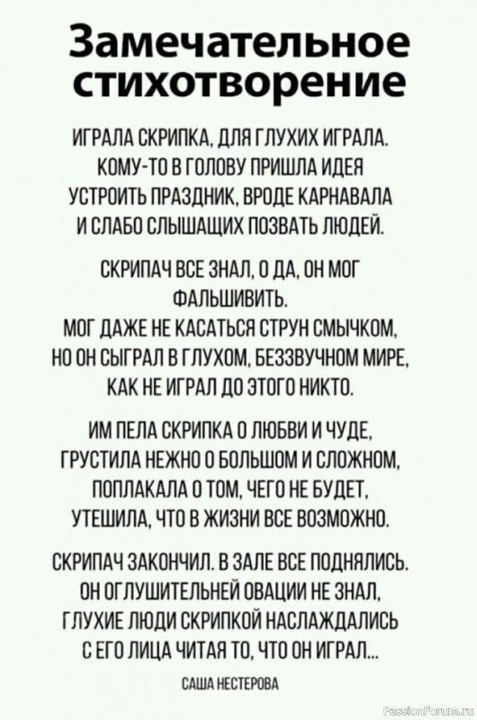 Фраза дня