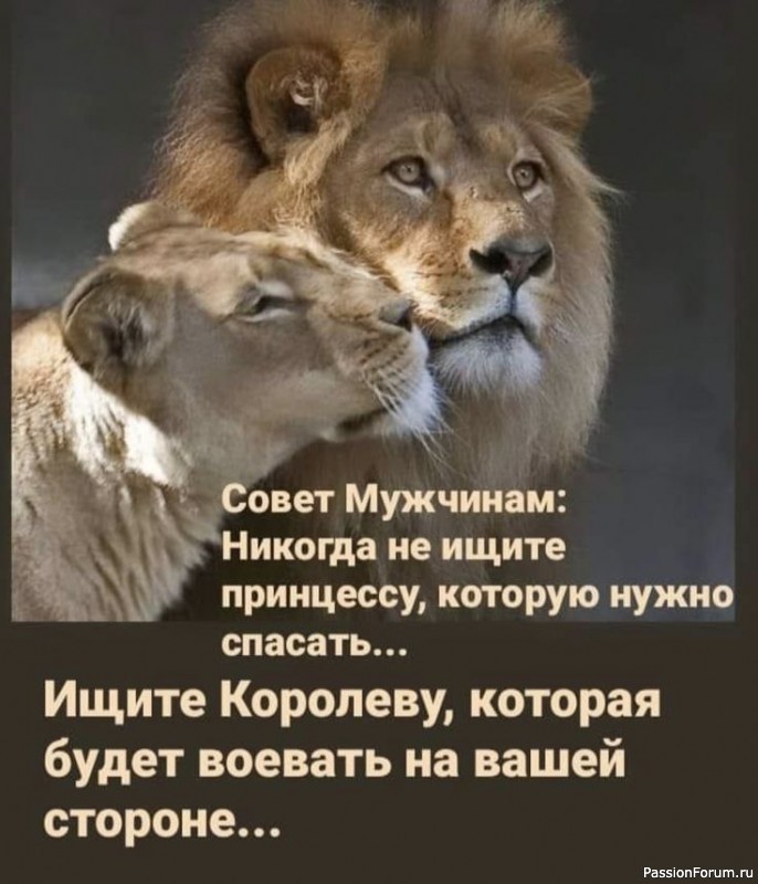 Фраза дня