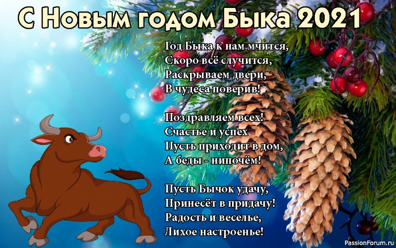 ПОЗДРАВЛЯЮ!!! С НАСТУПАЮЩИМ НОВЫМ ГОДОМ!!! ВСЕХ ЖЕНЩИН САЙТА!!!
