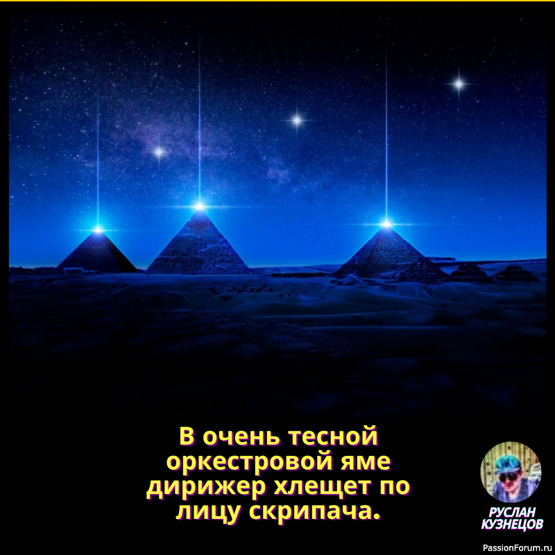 Вернувшиеся с юга птицы напали на прохожего и отобрали у него пуховик.