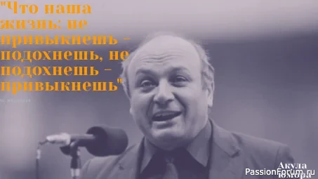 Лучшие высказывания о жизни, которыми говорит вся Россия. В память о Жванецком