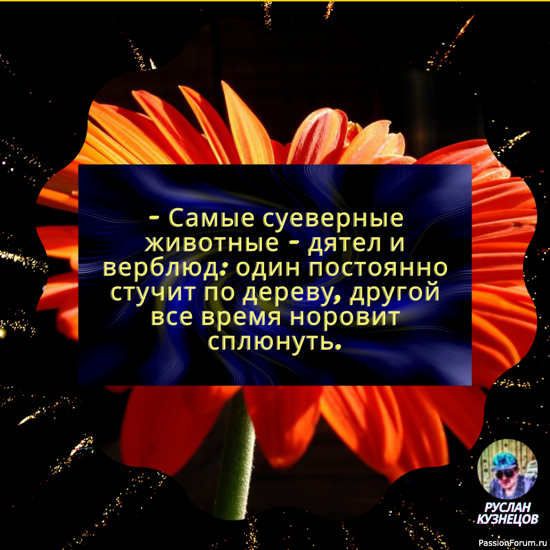 Ум &mdash; это хлеб, который удовлетворяет голод, шутка &mdash; это специя, которая вызывает аппетит.