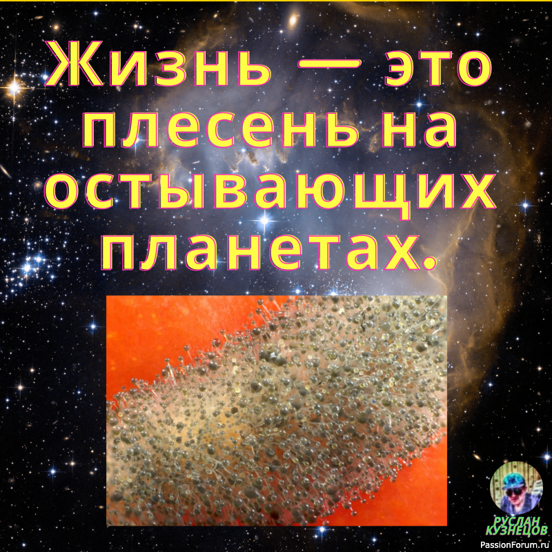 Подпитка хорошим Анекдотиком, всегда на пользу человеку!!!!!!!!!!!!!!!