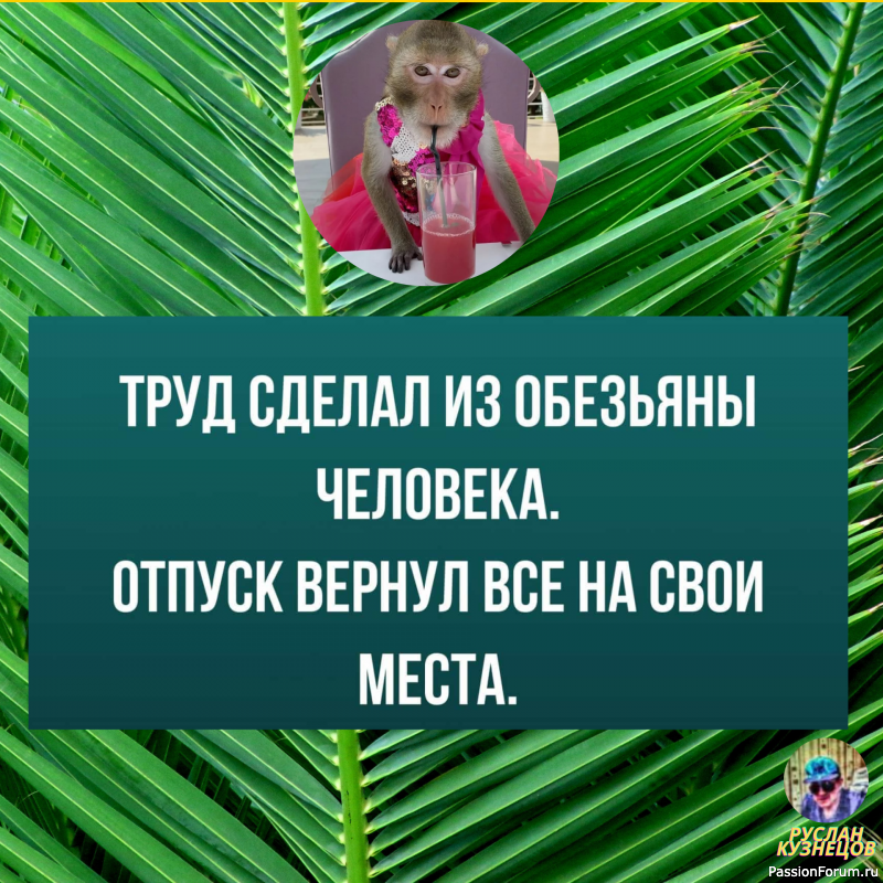Все, что Вам нужно, это &ndash;Юмор!!!!!!!!!!!!!!!!!!!