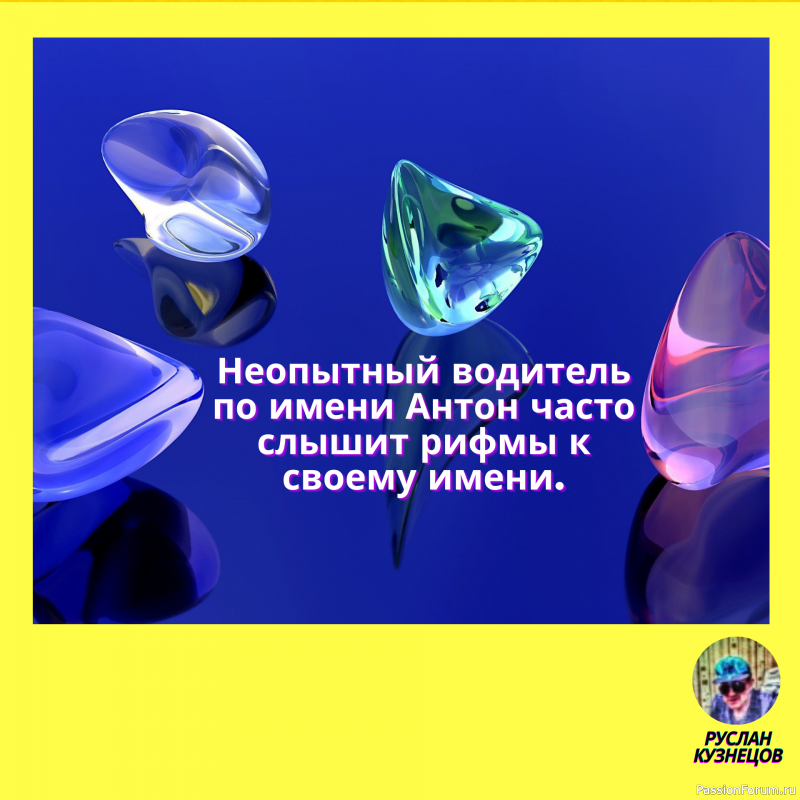 Вернувшиеся с юга птицы напали на прохожего и отобрали у него пуховик.